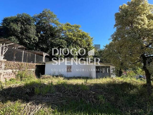 #114 - Terreno para Venda em Feliz - RS - 3