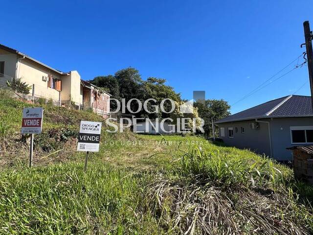 #114 - Terreno para Venda em Feliz - RS - 1