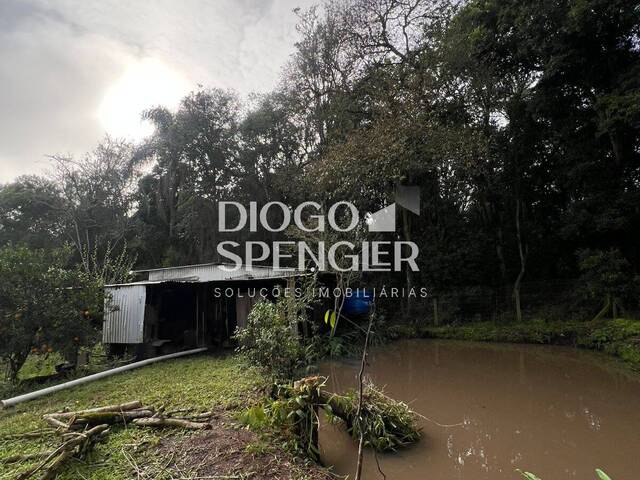 Chácara para Venda em Feliz - 4