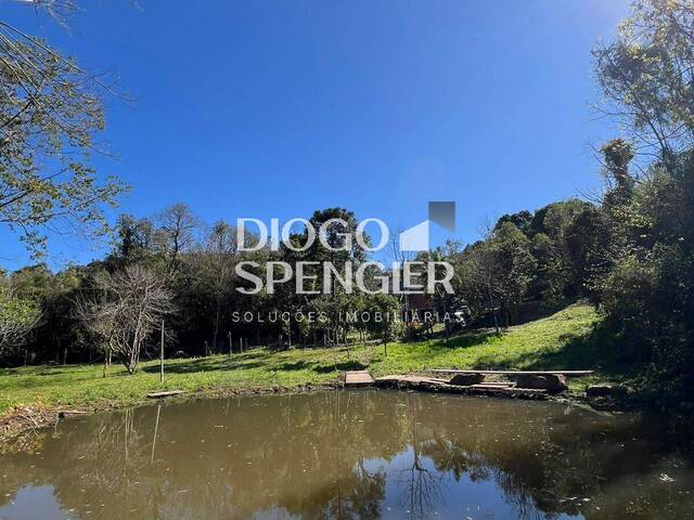 Chácara para Venda em Nova Petrópolis - 5