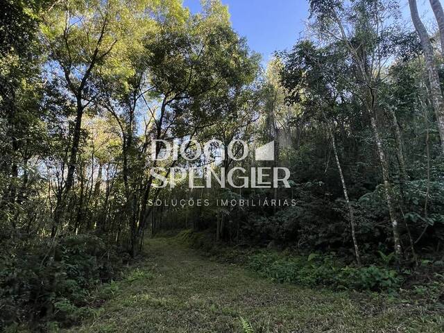 #137 - Chácara para Venda em Nova Petrópolis - RS - 2