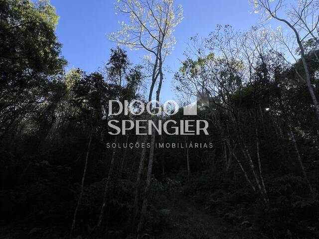 #137 - Chácara para Venda em Nova Petrópolis - RS - 3