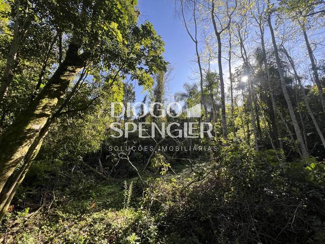 Chácara para Venda em Nova Petrópolis - 4