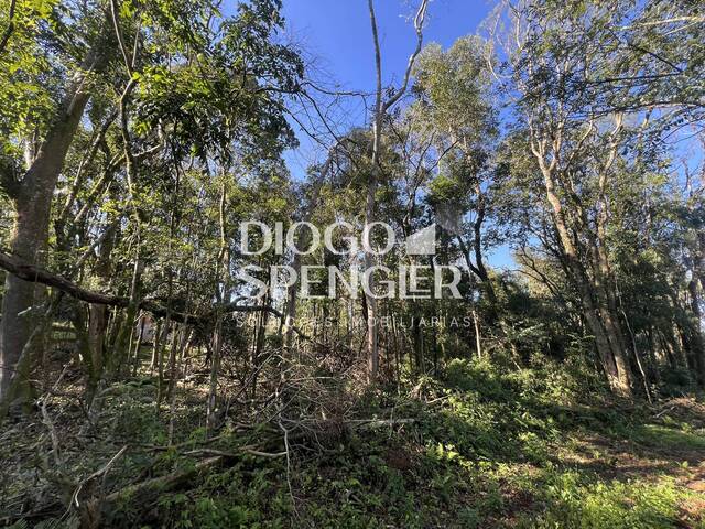 Chácara para Venda em Nova Petrópolis - 5