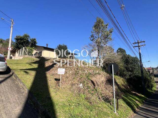 Venda em Logradouro - Nova Petrópolis