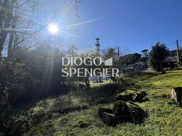 #138 - Terreno para Venda em Nova Petrópolis - RS