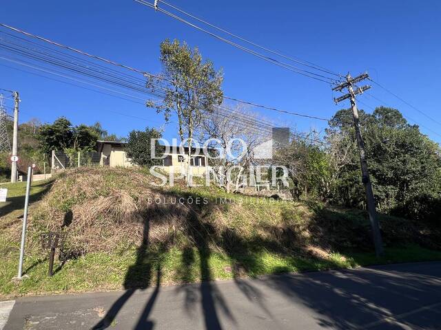 Terreno para Venda em Nova Petrópolis - 4
