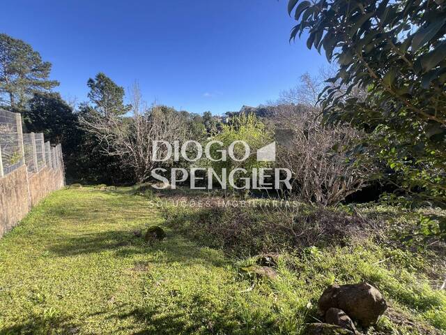 Terreno para Venda em Nova Petrópolis - 5